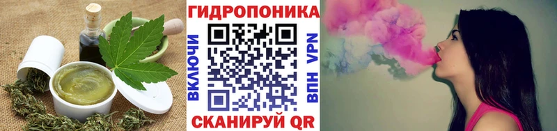 сколько стоит  Соликамск  Cannafood конопля 